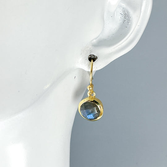 Labradorite Dangle Earrings-Rocks and Gems Canada
