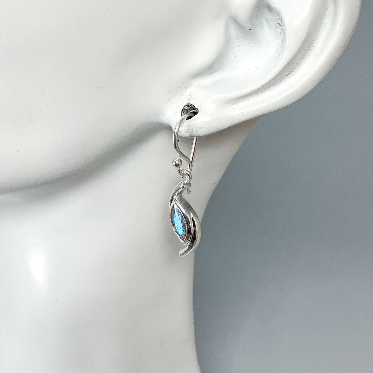 Labradorite Dangle Earrings-Rocks and Gems Canada