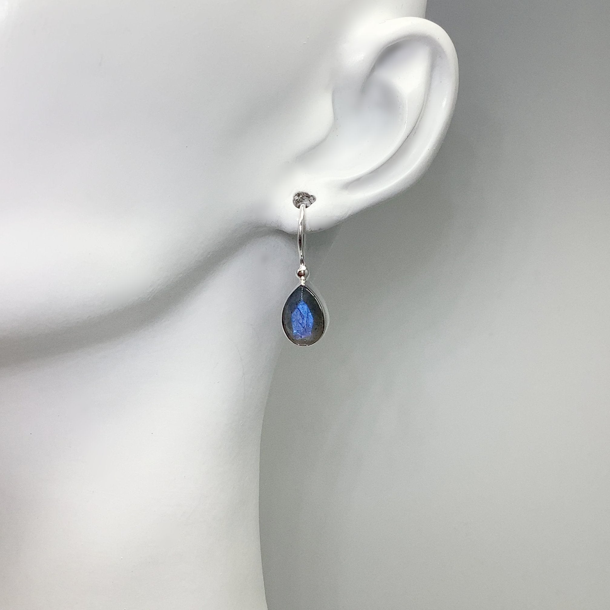 Labradorite Dangle Earrings - Rocks and Gems Canada