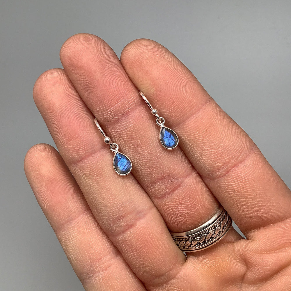 Labradorite Dangle Earrings - Rocks and Gems Canada