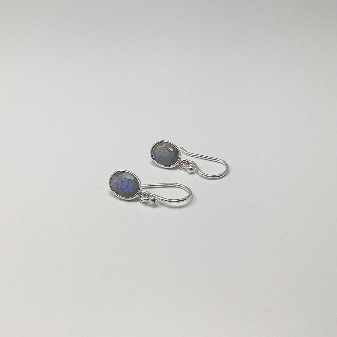 Labradorite Dangle Earrings - Rocks and Gems Canada