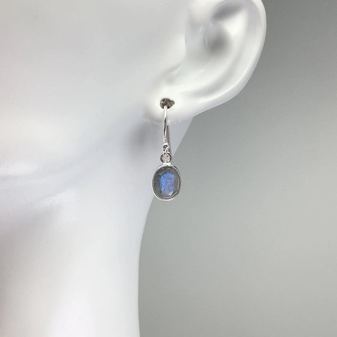 Labradorite Dangle Earrings - Rocks and Gems Canada