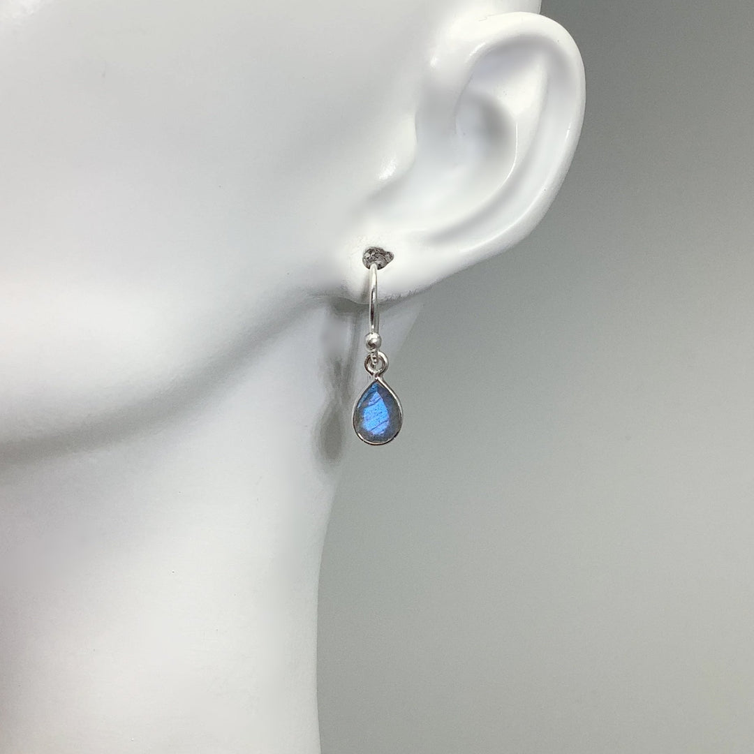 Labradorite Dangle Earrings - Rocks and Gems Canada