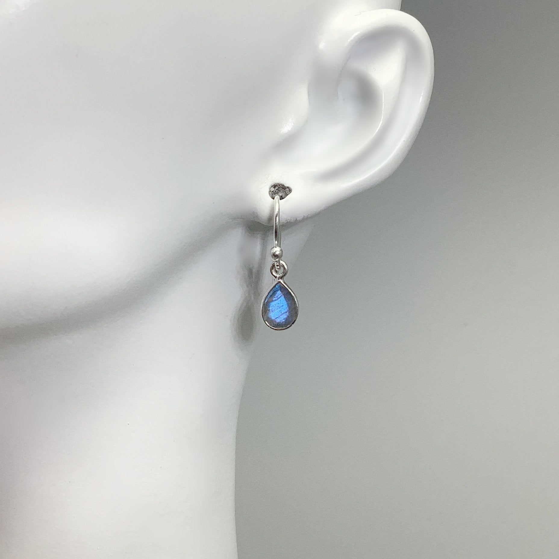 Labradorite Dangle Earrings - Rocks and Gems Canada