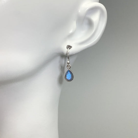 Labradorite Dangle Earrings - Rocks and Gems Canada