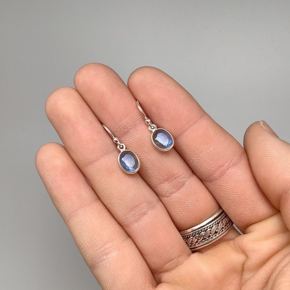 Labradorite Dangle Earrings - Rocks and Gems Canada