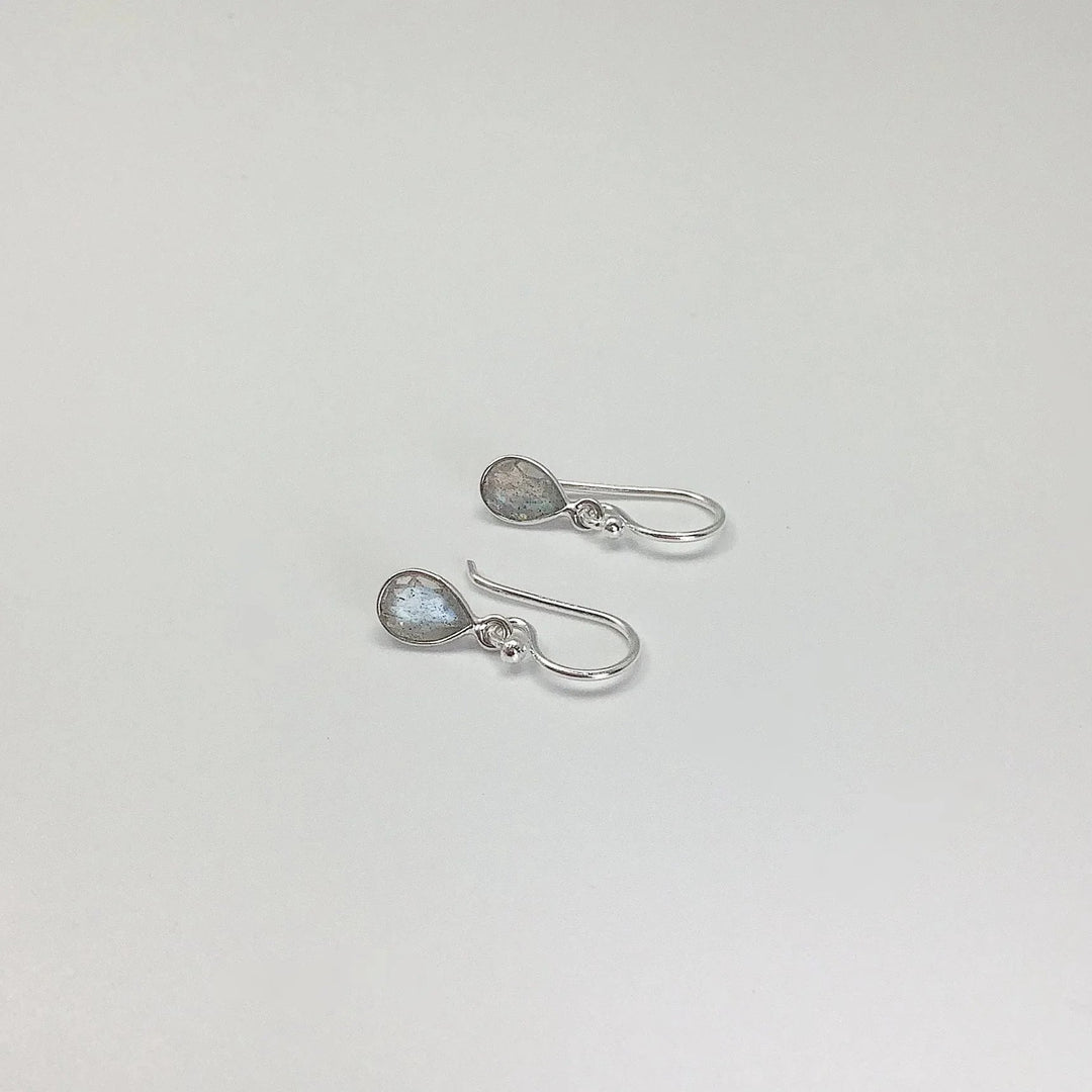 Labradorite Dangle Earrings - Rocks and Gems Canada