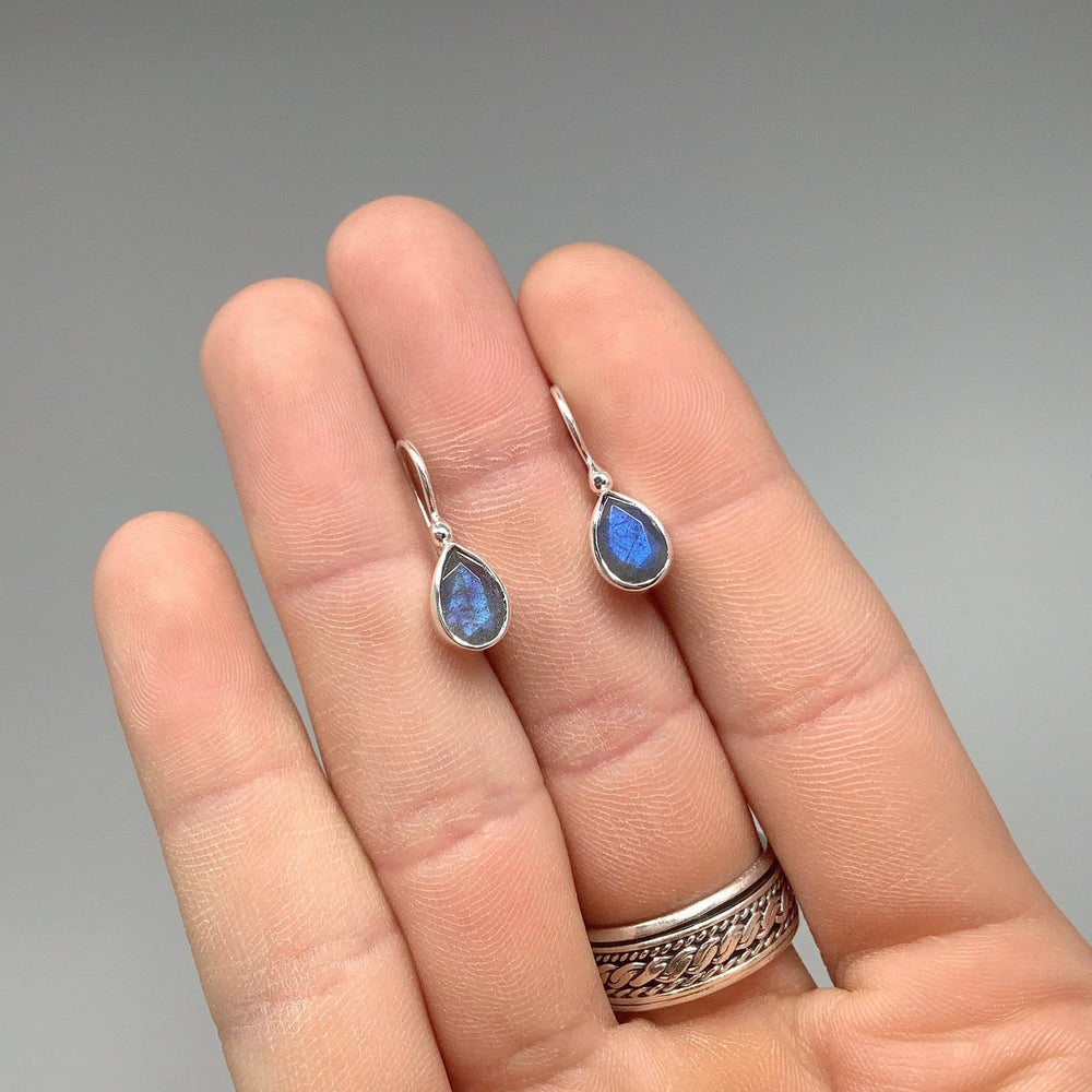 Labradorite Dangle Earrings - Rocks and Gems Canada