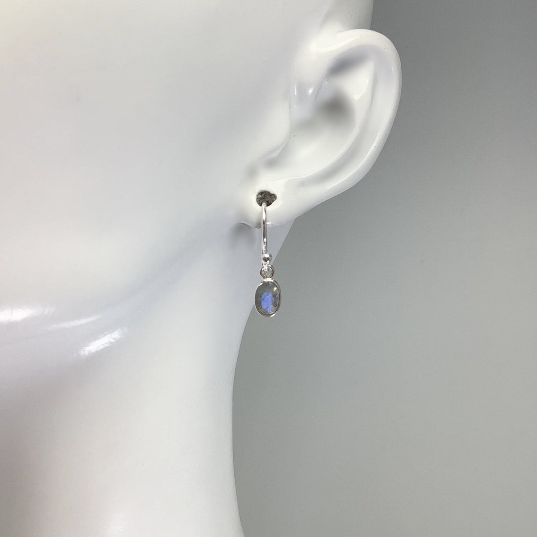 Labradorite Dangle Earrings - Rocks and Gems Canada