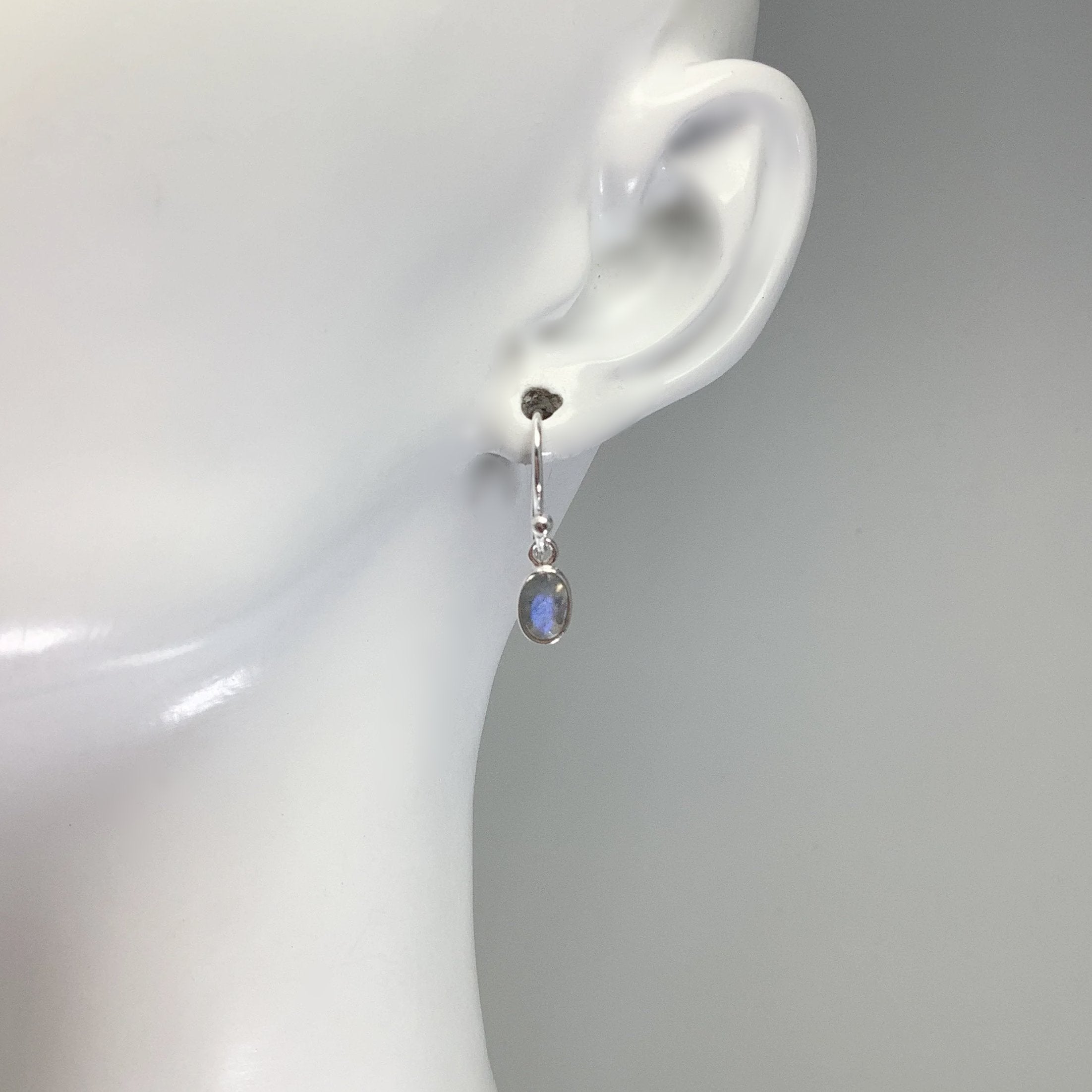 Labradorite Dangle Earrings - Rocks and Gems Canada