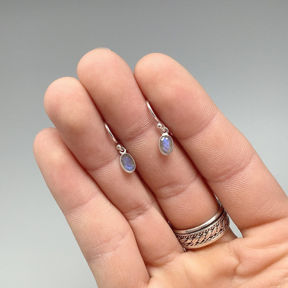 Labradorite Dangle Earrings - Rocks and Gems Canada