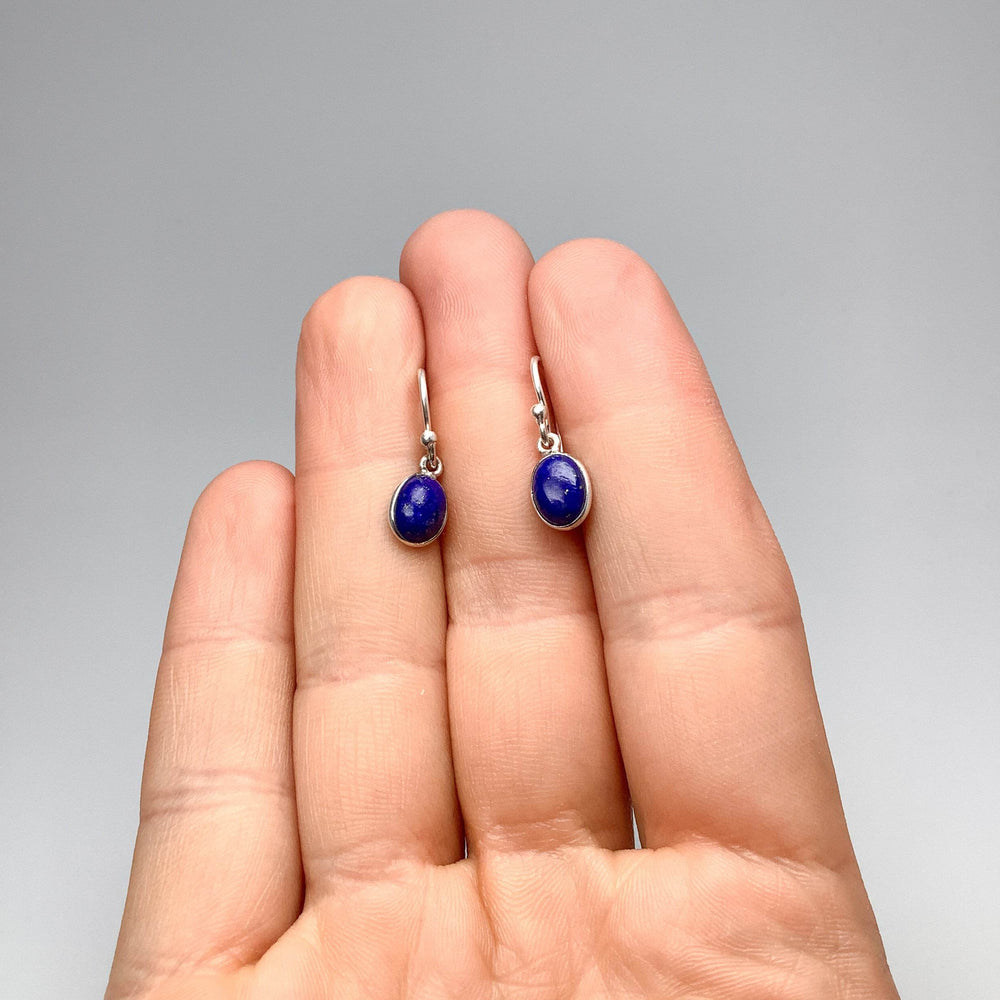 Lapis Lazuli Dangle Earrings-Rocks and Gems Canada