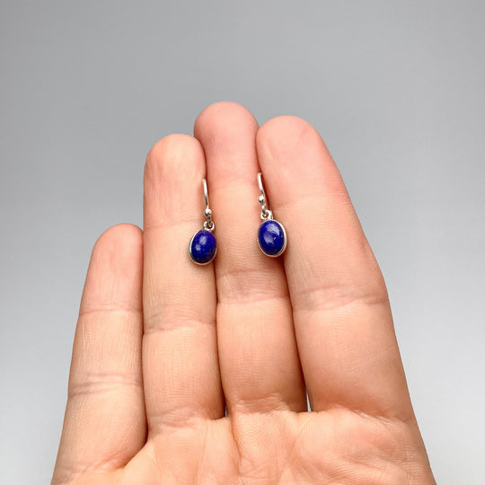 Lapis Lazuli Dangle Earrings-Rocks and Gems Canada