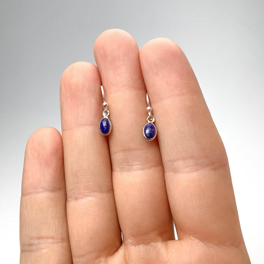 Lapis Lazuli Dangle Earrings-Rocks and Gems Canada