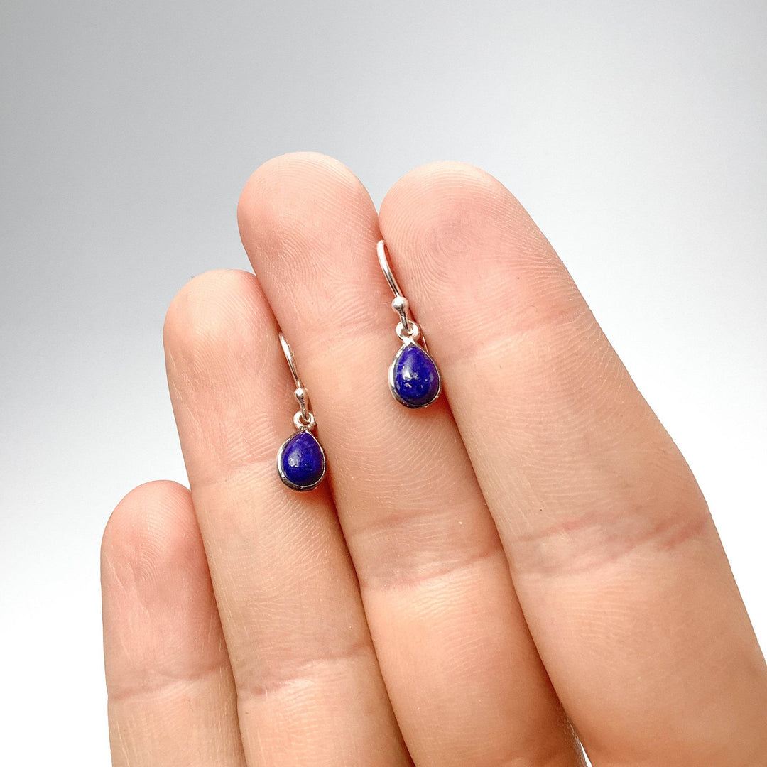 Lapis Lazuli Dangle Earrings-Rocks and Gems Canada