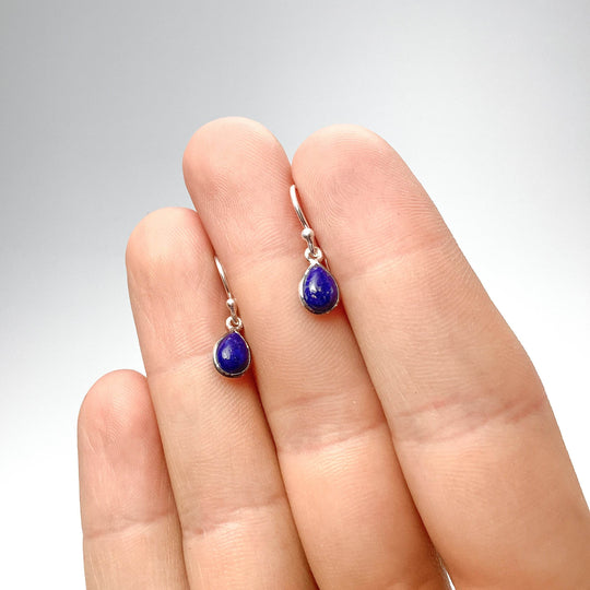 Lapis Lazuli Dangle Earrings-Rocks and Gems Canada