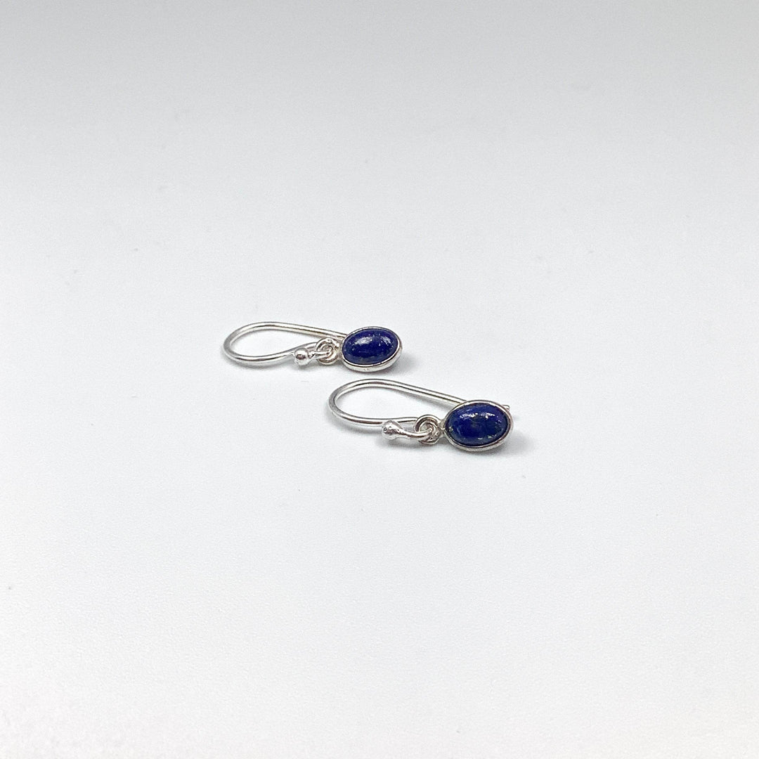 Lapis Lazuli Dangle Earrings-Rocks and Gems Canada