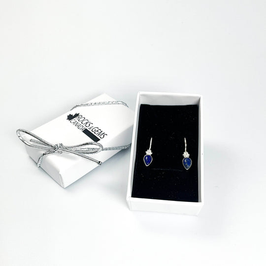 Lapis Lazuli Dangle Earrings-Rocks and Gems Canada
