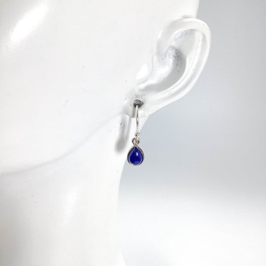 Lapis Lazuli Dangle Earrings-Rocks and Gems Canada