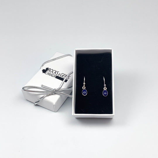 Lapis Lazuli Dangle Earrings-Rocks and Gems Canada