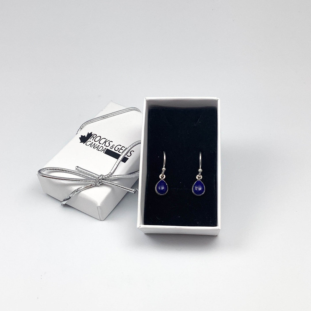 Lapis Lazuli Dangle Earrings-Rocks and Gems Canada