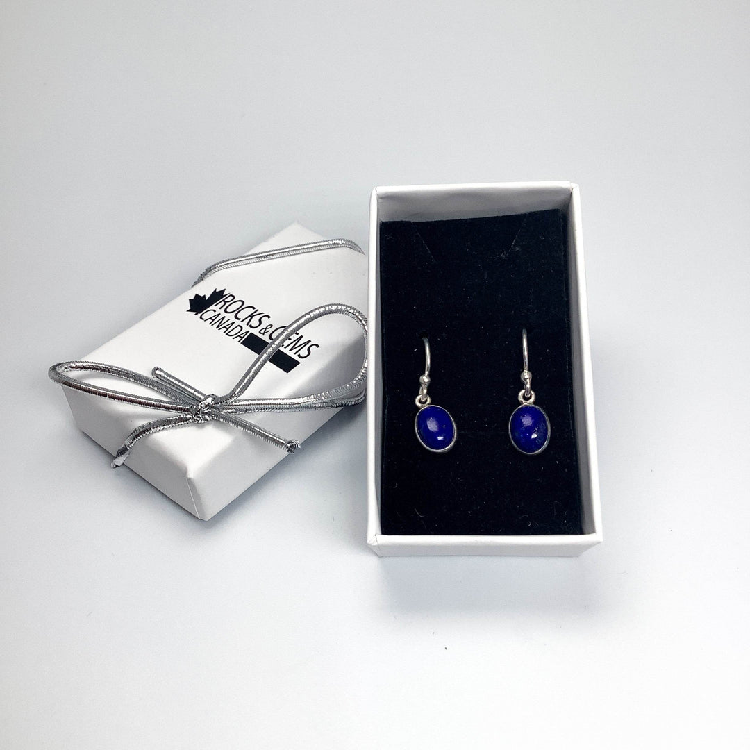 Lapis Lazuli Dangle Earrings-Rocks and Gems Canada
