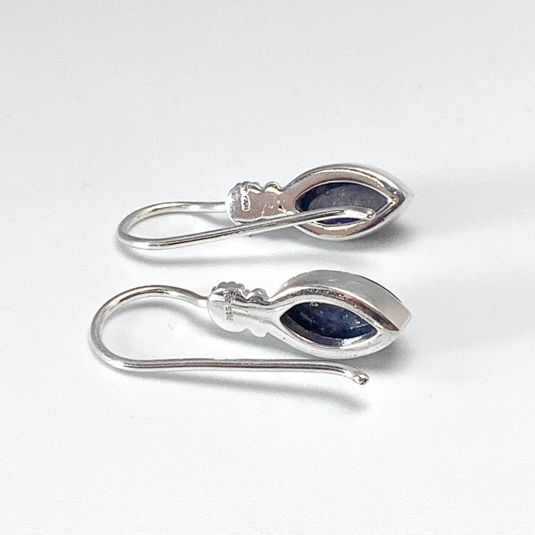 Lapis Lazuli Dangle Earrings-Rocks and Gems Canada