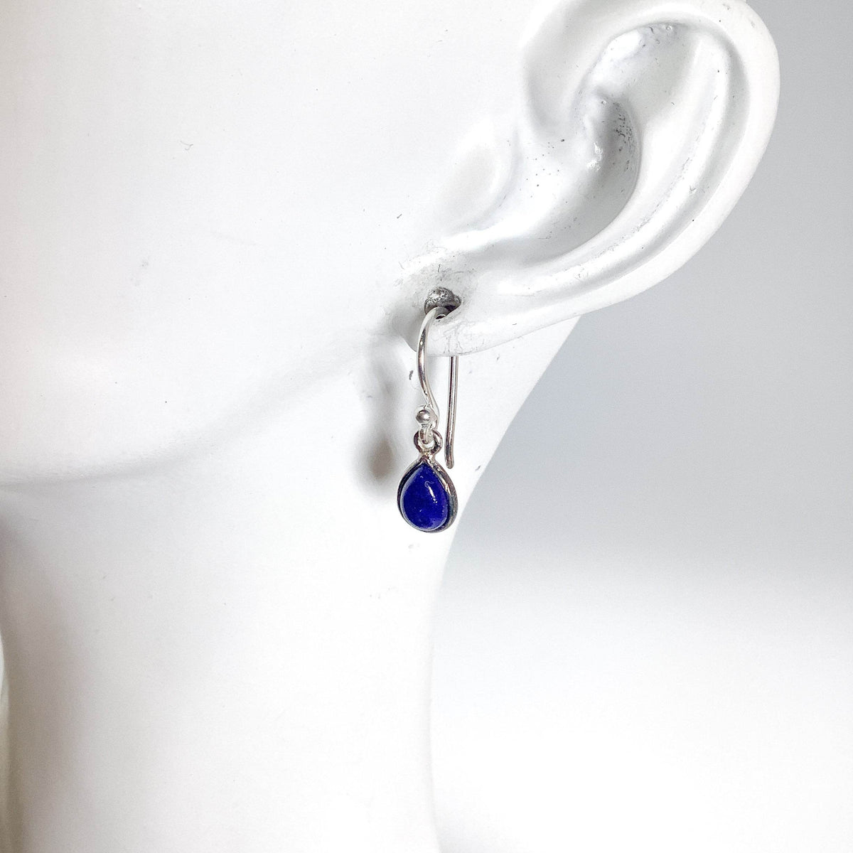 Lapis Lazuli Dangle Earrings-Rocks and Gems Canada