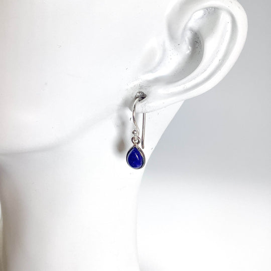 Lapis Lazuli Dangle Earrings-Rocks and Gems Canada