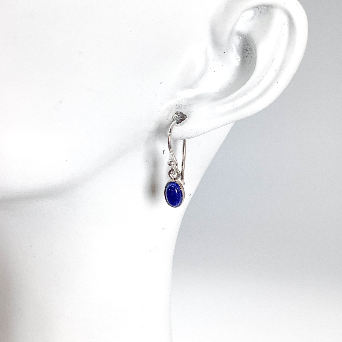 Lapis Lazuli Dangle Earrings-Rocks and Gems Canada