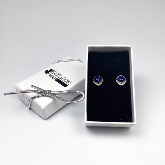 Lapis Lazuli Stud Earrings-Rocks and Gems Canada