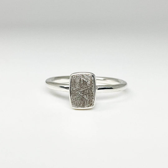 Muonionalusta Meteorite Ring-Rocks and Gems Canada
