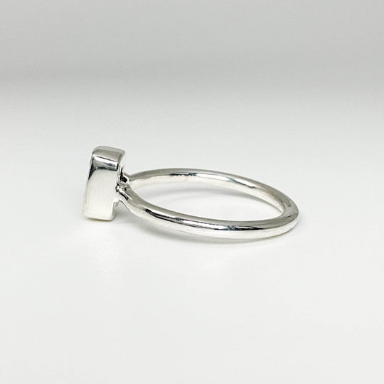 Muonionalusta Meteorite Ring-Rocks and Gems Canada