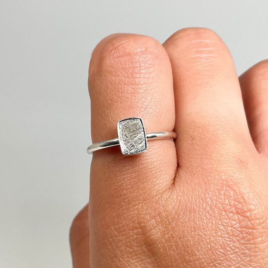 Muonionalusta Meteorite Ring-Rocks and Gems Canada