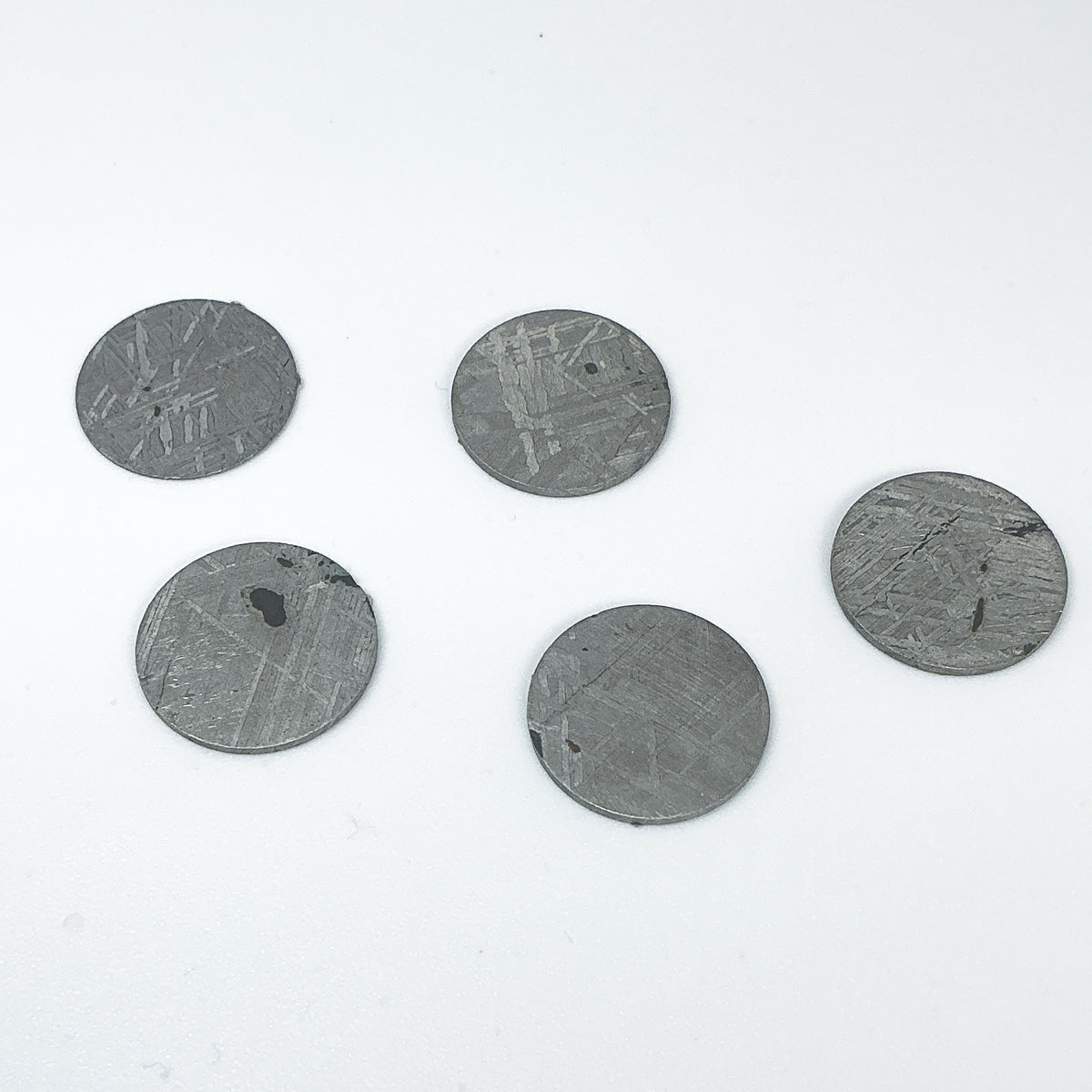 Muonionalusta Meteorite Round Disk-Rocks and Gems Canada