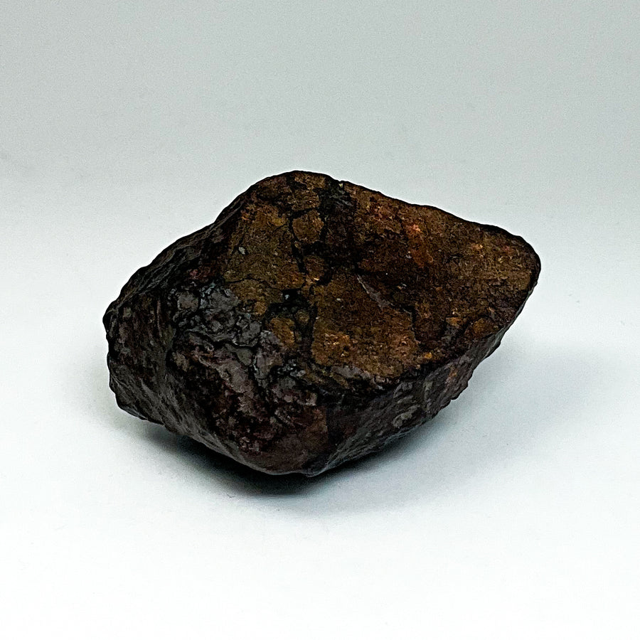 NWA Chondrite Meteorite Specimen-Rocks and Gems Canada