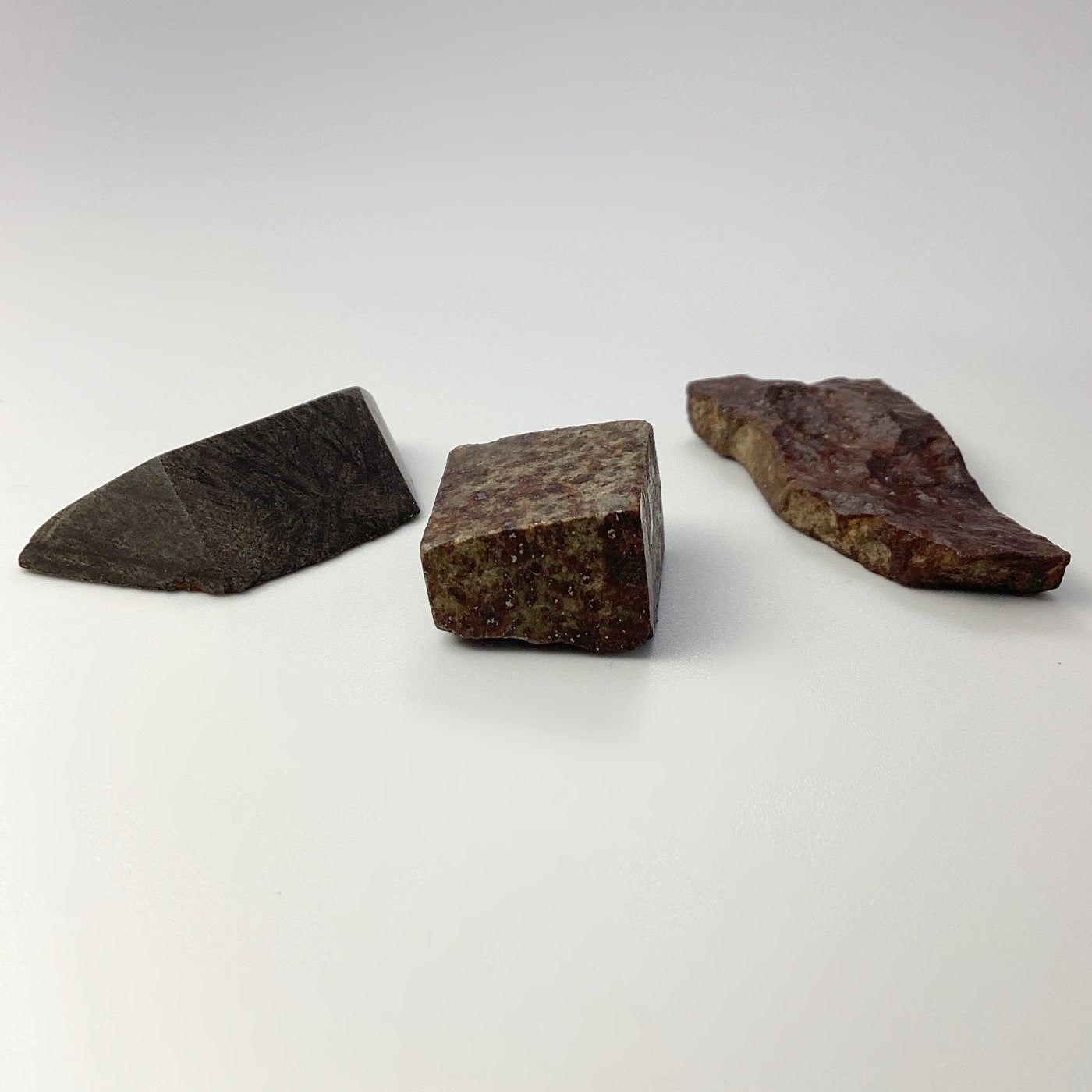 NWA Chondrite Meteorite Specimen at $55 Each