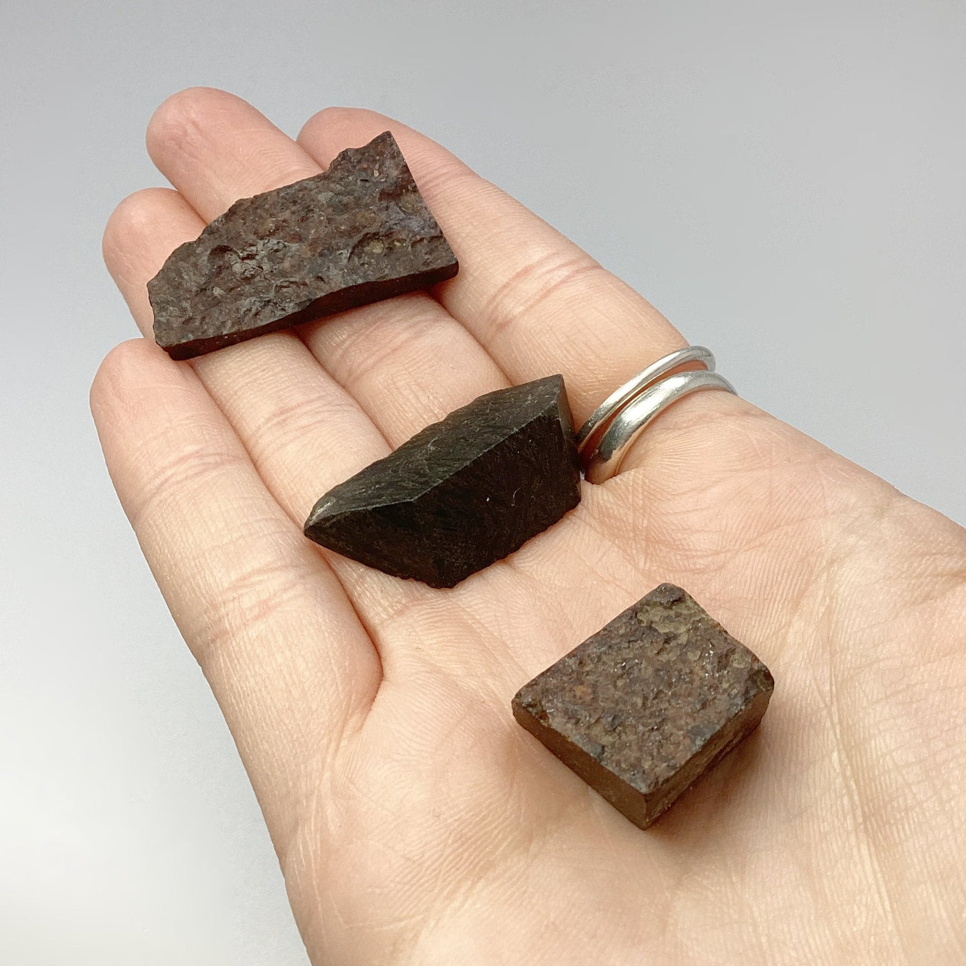 NWA Chondrite Meteorite Specimen at $55 Each