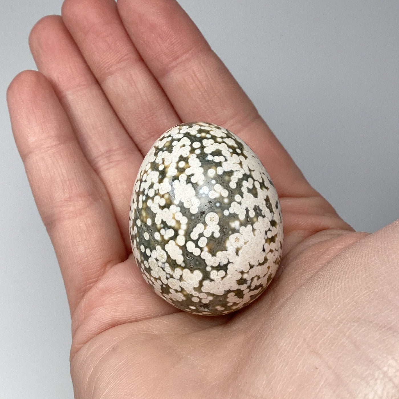 Ocean Jasper Egg