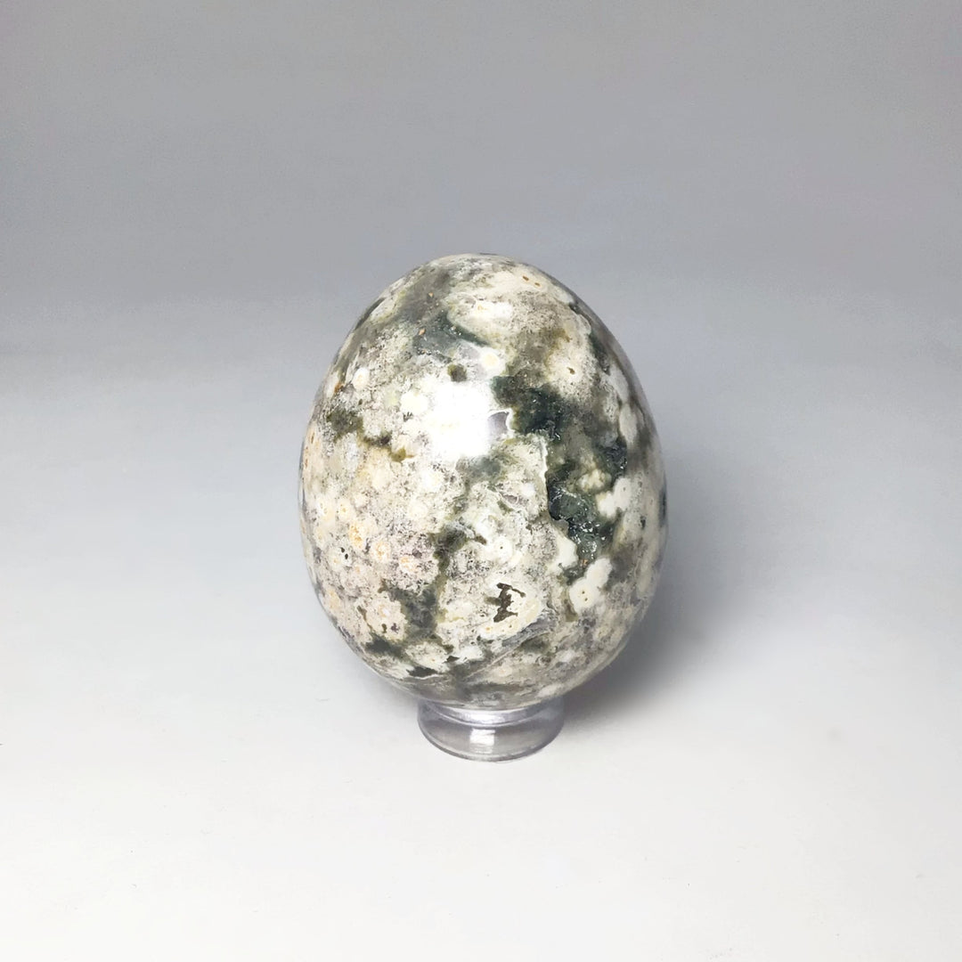 Ocean Jasper Egg