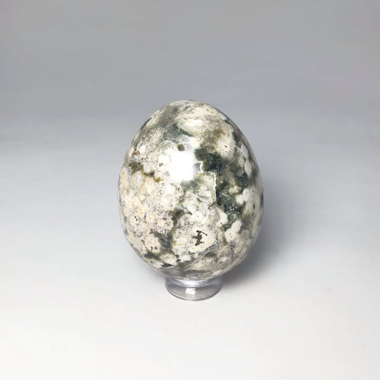 Ocean Jasper Egg