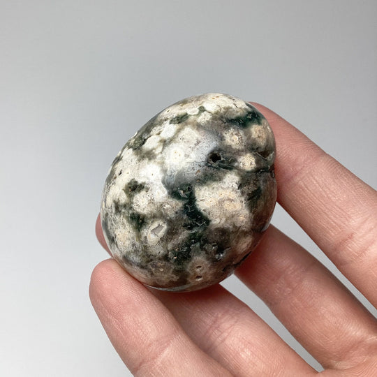 Ocean Jasper Egg