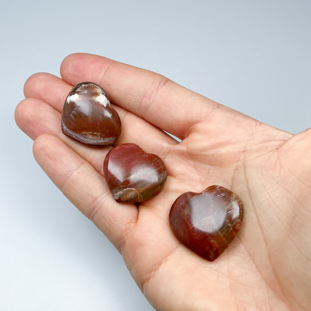 Petrified Wood Heart-Rocks and Gems Canada