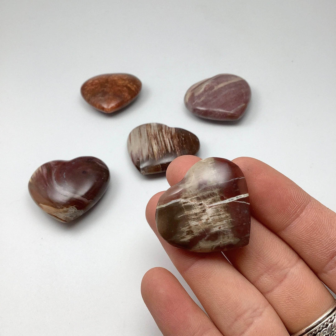 Petrified Wood Heart-Rocks and Gems Canada