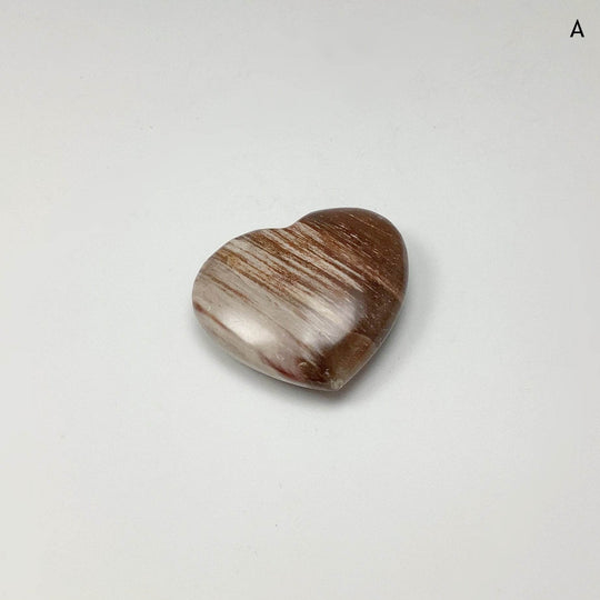 Petrified Wood Heart-Rocks and Gems Canada