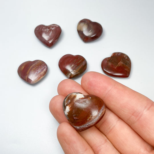 Petrified Wood Heart-Rocks and Gems Canada