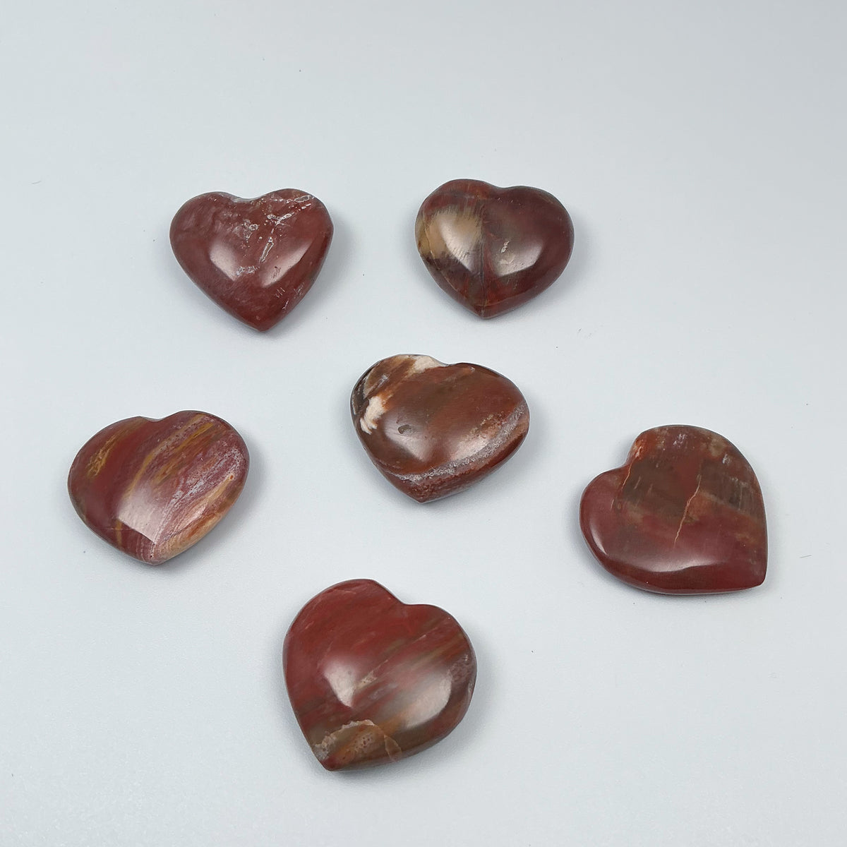 Petrified Wood Heart-Rocks and Gems Canada