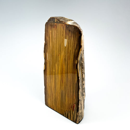 Petrified Wood Stand Up-Rocks and Gems Canada