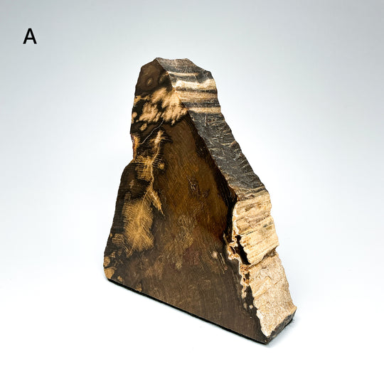 Petrified Wood Stand Up-Rocks and Gems Canada
