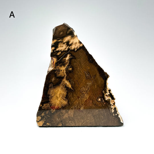 Petrified Wood Stand Up-Rocks and Gems Canada